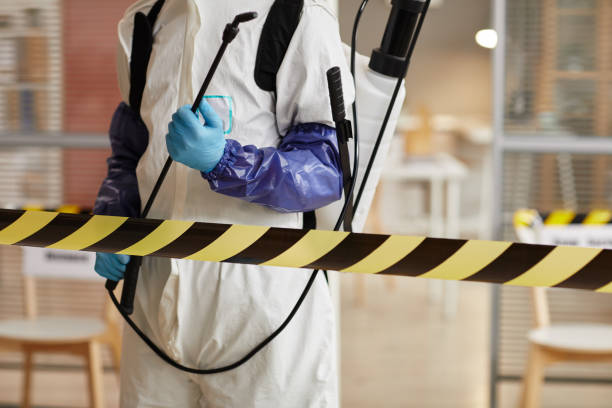 Professional Sewage Cleanup technician working in Palm City, FL